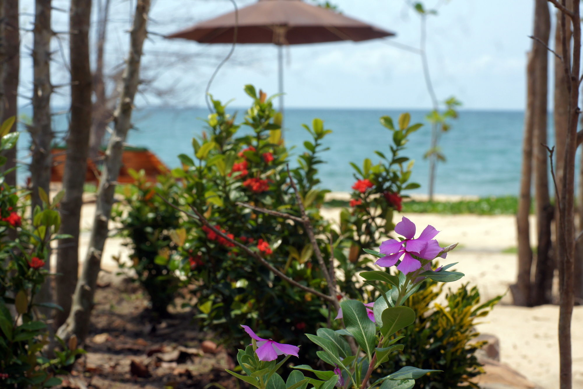 Gold Sand Beach Bungalow Phu Quoc Exterior foto